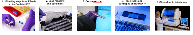 Capture.PNG