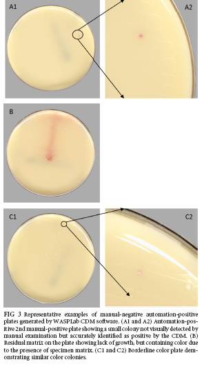 4 FIG 3.PNG