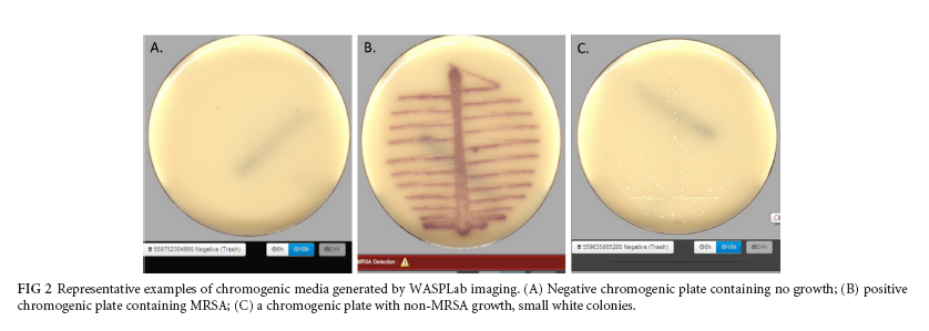 2 image of plates.PNG