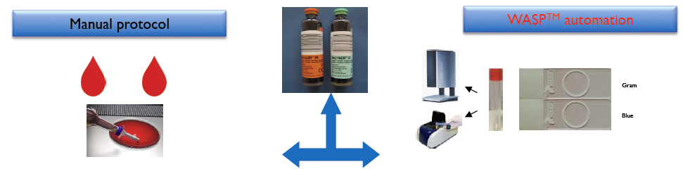 ECCMID Blood WASP 4.PNG
