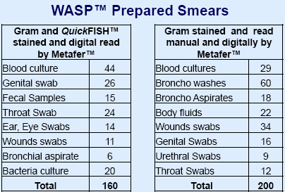 Wasp gram smear Pic 2.PNG