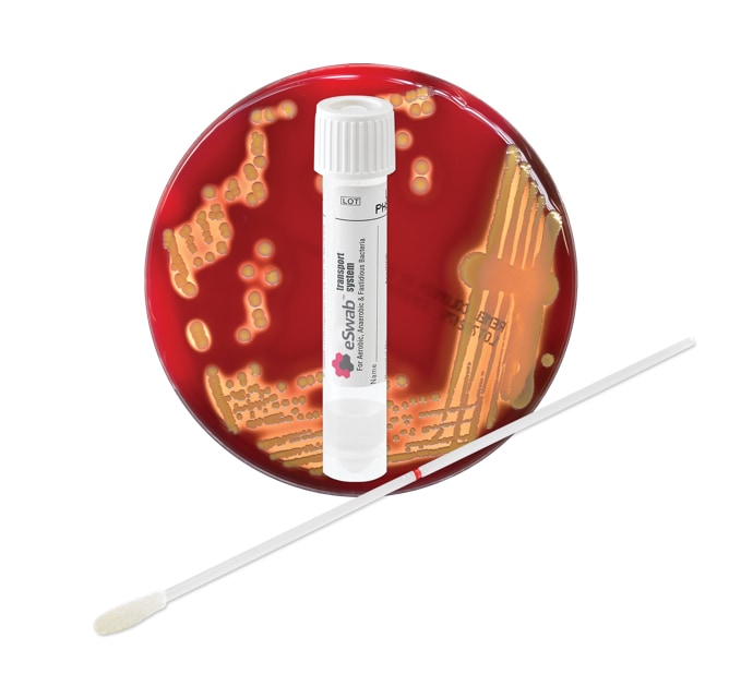 ESwab™ 480C Regular Flocked Swab with Liquid Amies Medium