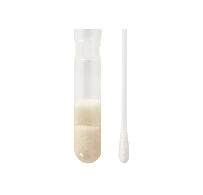 Transystem™ 140C Regular Rayon Swab and Liquid Amies Medium