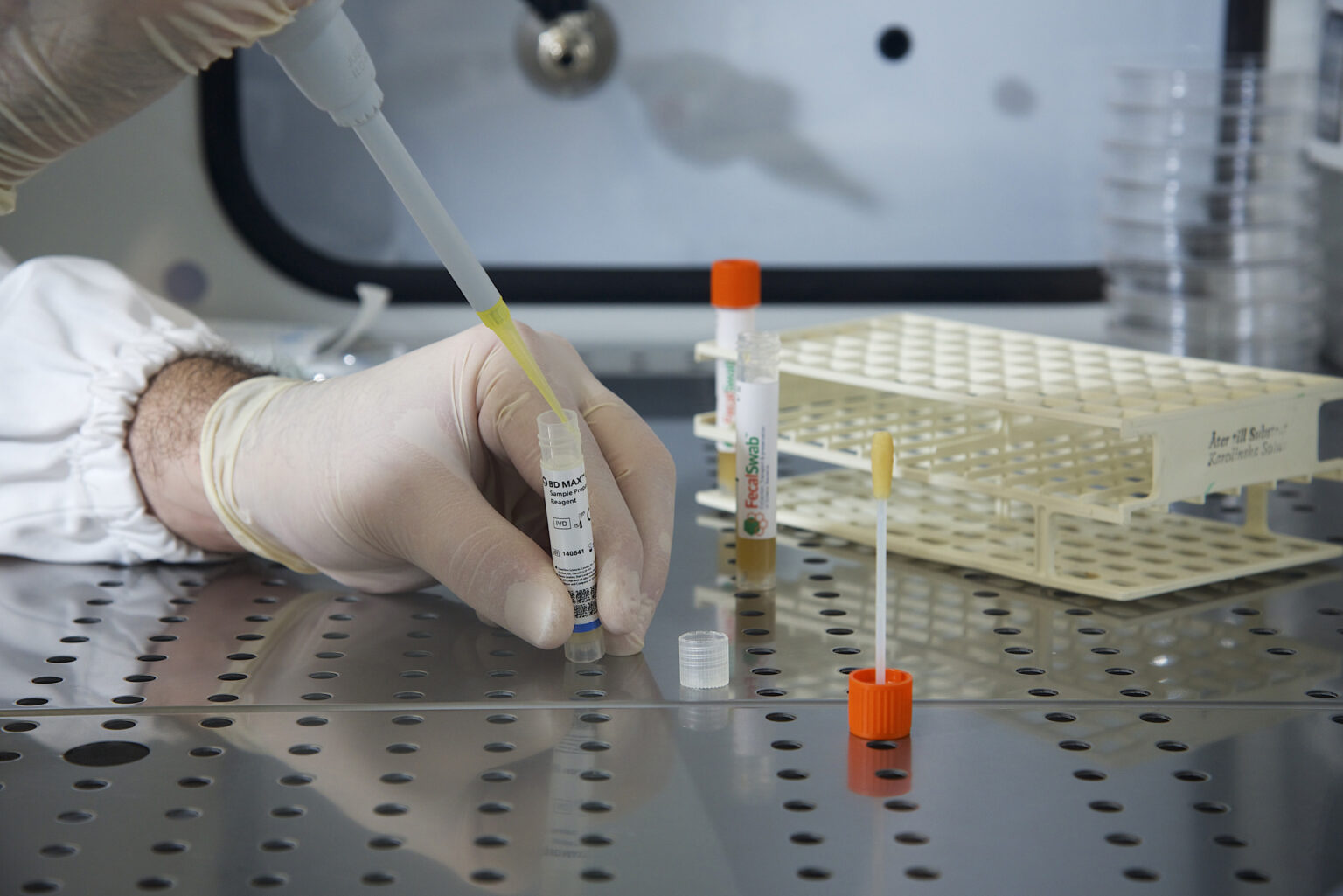 Laboratory staff processing FecalSwab specimens for molecular and culture testing