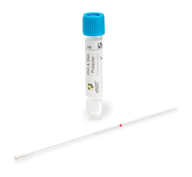 6U073S01 Single Regular Size Flocked Swab with 80mm Breakpoint Packaged with 2 mL eNAT® Guanidine Medium in Skirted Tube with Plastic Cap - Individually Packaged, Sterile