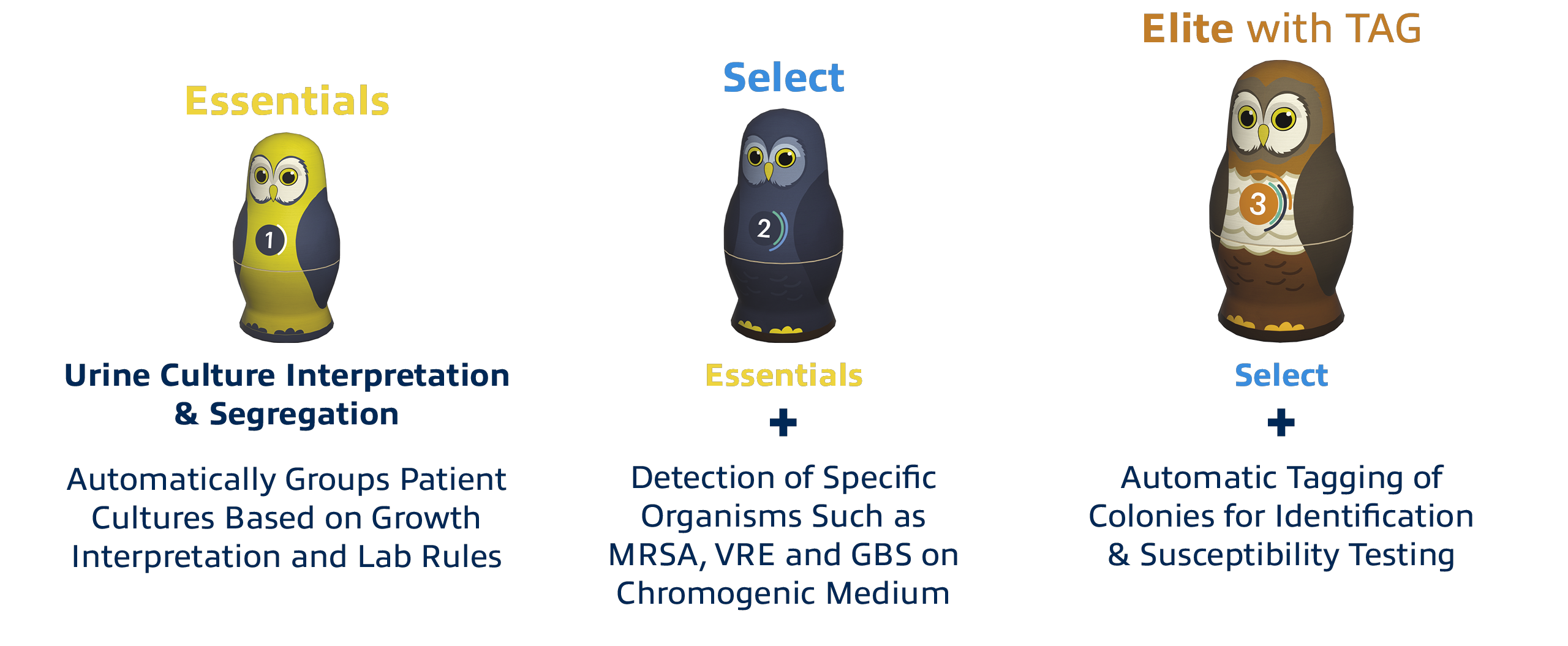 Phenomatrix_OWLs_descriptionBottom Phenomatrix_OWLs_descriptionBottom