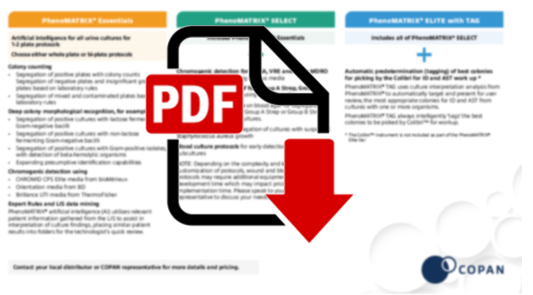 pdf pdf