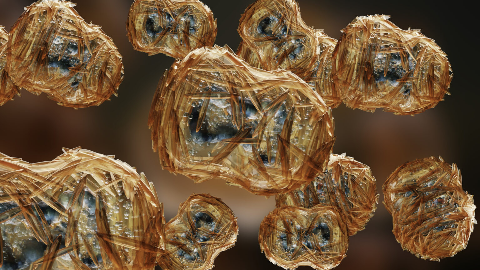 Research Roundup Monkeypox Sample Collection and Transport COPAN