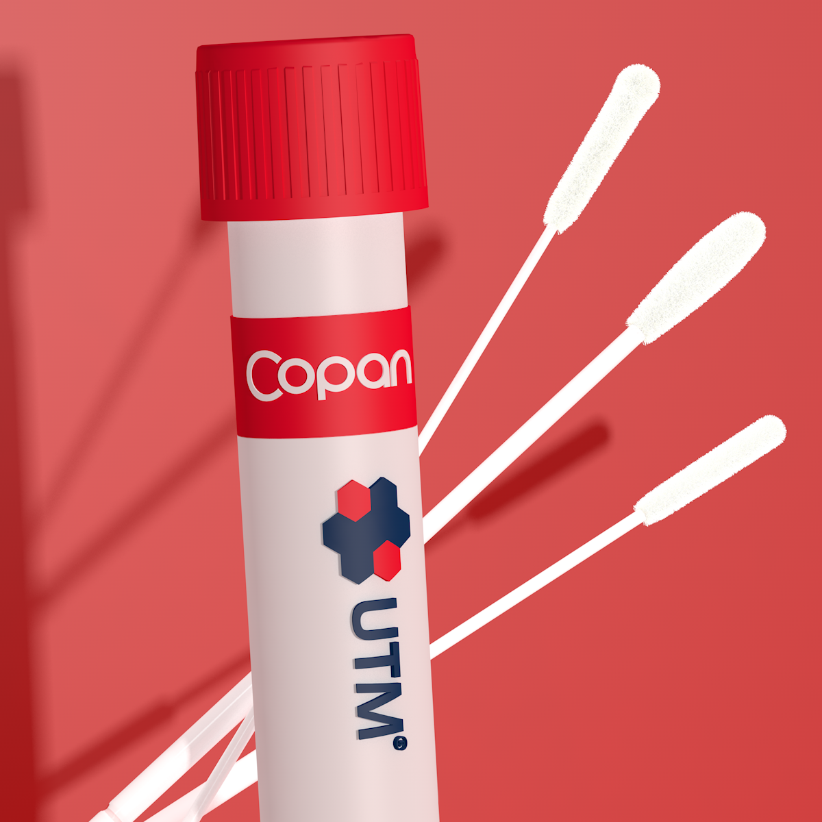 UTM