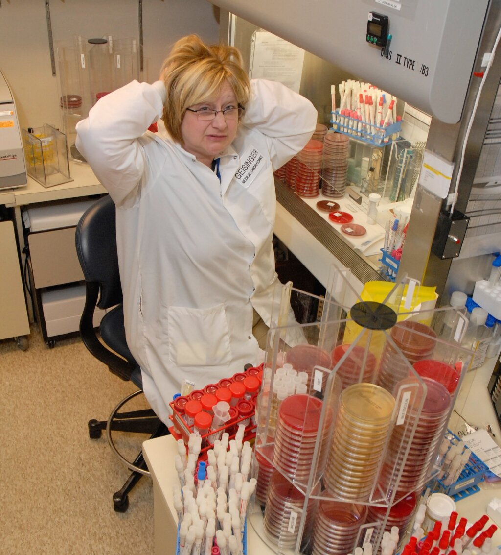 Clinical microbiology laboratory staff working with multiple culture plates and specimen workflows