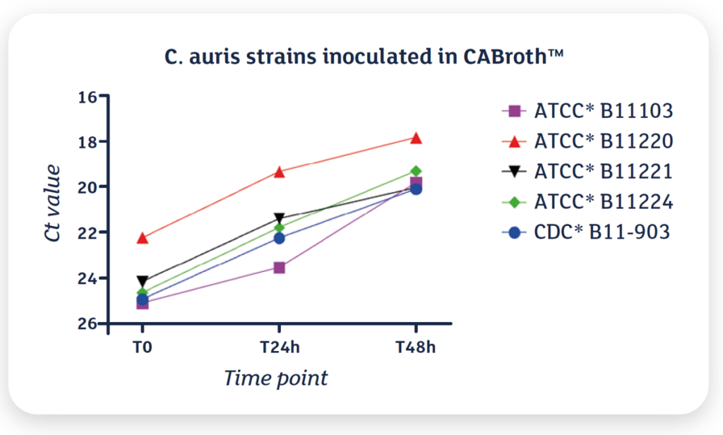Line graph showing relative Candida auris load increasing from T0 to T48h during CABroth enrichment